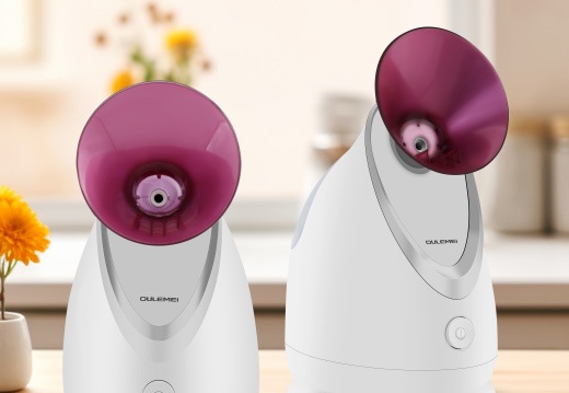 Вапоризатор Для Лица