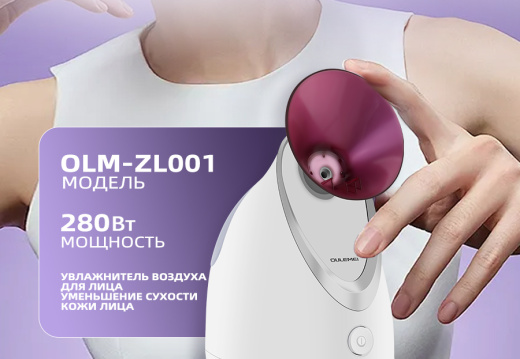 Вапоризатор Для Лица